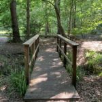 Photo of a small wooden bridge crossing a stream