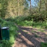 A photo of a small dog poo bin on the edge of a woodland walk