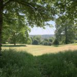 Photo of beautiful mature trees, and a view of wooded countryside going off into the distance