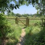 Photo of the gate off Old Park Lane, framed by overhanging vegetation