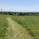 Photo take from the top of the meadow looking out over the surrounding countryside.