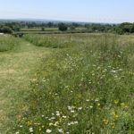 Photo take from the top of the meadow looking out over the wildflower meadow to the surrounding countryside.