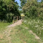 Photo of a small path leading through a hedgerow, over a small wooden bridge into a meadow.
