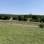 Photo taken from the top of a small hill, looking out across wooded countryside.