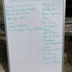 Photo of a white board with the names of some of the things we've seen...including Skylark, Goldfinch, House Sparrow, Robin, Red Kite etc.
