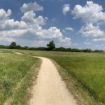 Panoramic photo of a large meadow with a surfaced path, new housing at the margin