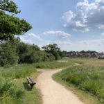 Photo of a green meadow with a surfaced path snaking through. A small bench by the side of the path.