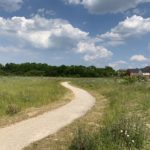 Photo of a green meadow with a surfaced path snaking through it.