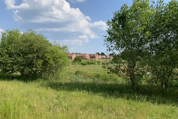 Photo showing a green meadow with small scrubby trees in the foreground and new houses in the background.