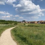 Photo showing a green meadow full of wild flowers and new houses in the background.