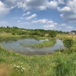 Panoramic photo of a meadow with a large pond, surfaced path and new housing around the edge.