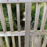 Photo taken from a bridge, looking through the railings and down to the river below.