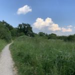 Photo of a small surfaced path along the edge of a lush green meadow, with long grass.