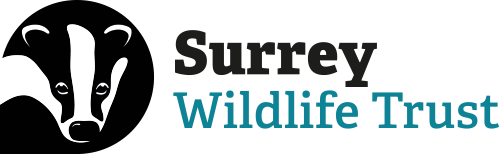 Surrey Wildlife Trust logo