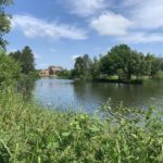 Photo of a summer scene. Pretty lake surrounded by trees and think vegetation.