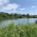 Photo of a summer scene. Pretty lake surrounded by trees and think vegetation.