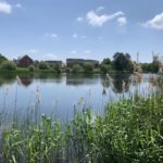 Photo of a summer scene. Pretty lake surrounded by trees and think vegetation.