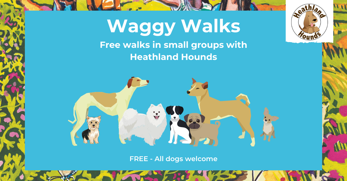 Pretty blue poster to advertise the Heathland Hounds walks. Details below.