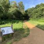 Photo of a path with a information sign at the side. It describes some of the trees you might see such as Scots Pine, Beech, Sycamore, Oak and Birch. It also mentions badgers, reptiles, birds and bats.