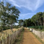 Photo of a footpath flanked by wooden fencing. Blue sky and long shadows.