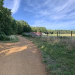 Photo of a surfaced path. Temporary-looking fencing runs along side.