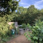 Photo looking towards the car park, shows poo bin, general rubbish bin, and poo bag dispenser.