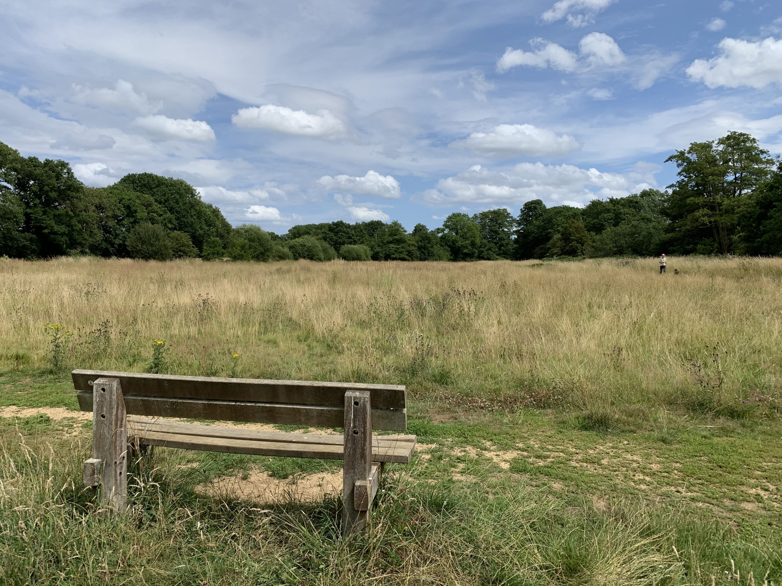 Photo of a bench looking out across the meadow.