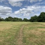 Photo of a large field with a rough path across the middle. Large trees around the perimeter.