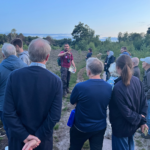 A photo taken at dusk, as people wait for Nightjars to start churring in the fading light.