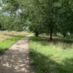 Photo of a surfaced path through a meadow. Trees overhang the path, giving shade.