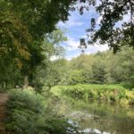 Photo of a shady path alongside the Basingstoke Canal.