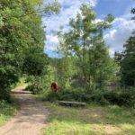 Photo of a view looking across to a fishing pond. A bench and an orange lifebuoy beside the pond.