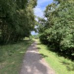 Photo of a surfaced path shaded by trees either side.