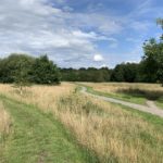 Photo showing a large meadow with both mown and surfaced paths.