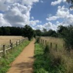 A photo of a surfaced path running between two fences.