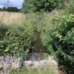 Photo of the small stream that crosses the meadows.