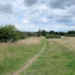 A photo of a late summer meadow. A path snakes off into the distance. You can glimpse houses in the middle distance.