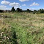 Photo looking out across a late summer meadow. Long grass and thistles gone to seed.