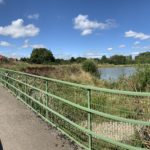 Photo looking down a walkway across a large pond.