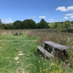 Photo of two picnic tables sitting in rather long grass.