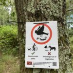 Photo of one of our signs tied to a tree. It asks everyone to keep to main paths and keep dogs out of vegetation.