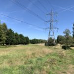 Photo of a large meadow, dotted with mature trees. A tall pylon stands in the middle.