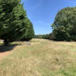 Photo of a large meadow, dotted with mature trees. A pond is fenced of.