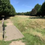 Photo of a small footbridge that takes a path into a meadow. Large conifers flank the path.