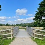 Photo of a bridge and a view into a summer meadow, with long dry grasses, and trees in the distance.