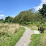 Photo of a bench beside a gravel path. It looks out over a summer meadow.