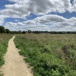 Photo of a surfaced path heading out across a summer meadow.