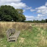 Photo of a new wooden bench looking out across a meadow. Blue sky with fluffy white clouds.