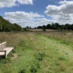 Photo of a new wooden bench looking out across a meadow. Blue sky with fluffy white clouds.