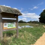 Photo of a path that leads past a large pond. A large noticeboard displays information and a map of the site.